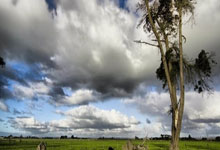 羽绒服里穿薄点才暖和!一个超简单的穿搭技巧,快收藏